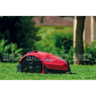 Top 10 Auto Lawn Mowers for Effortless Yard Care