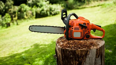 Top 10 Chainsaws of 2025: Ultimate Buying Guide